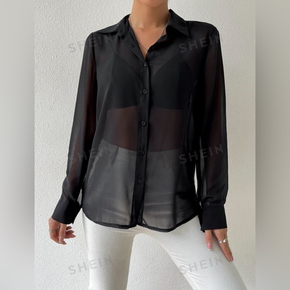 Extra Sheer Collared Button Up Blouse - Picture 5 of 6